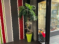 Inhoud inkomhal - afbeelding 4 van  15