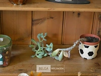 Inhoud kast - afbeelding 4 van  5
