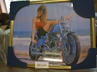 Inhoud pallet div fotokaders - afbeelding 3 van  3