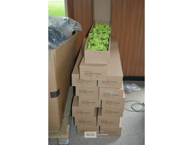 Inhoud pallet mix pallet - afbeelding 1 van  3