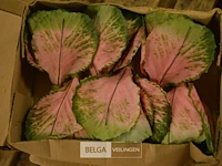 Inhoud pallet partij div plastic bloemen - afbeelding 4 van  5