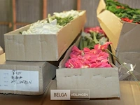 Inhoud pallet partij div plastic bloemen - afbeelding 1 van  4