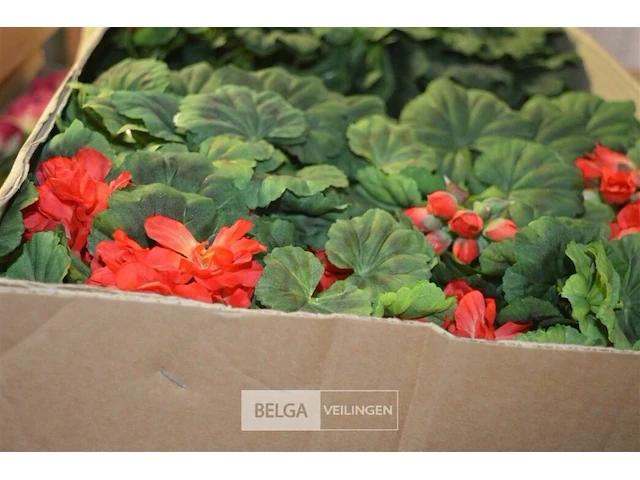 Inhoud pallet partij div plastic bloemen - afbeelding 4 van  4