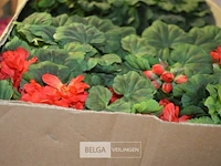 Inhoud pallet partij div plastic bloemen - afbeelding 4 van  4
