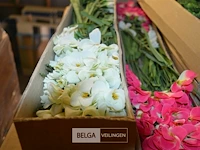 Inhoud pallet partij div plastic bloemen - afbeelding 1 van  4