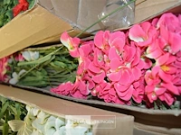 Inhoud pallet partij div plastic bloemen - afbeelding 3 van  4