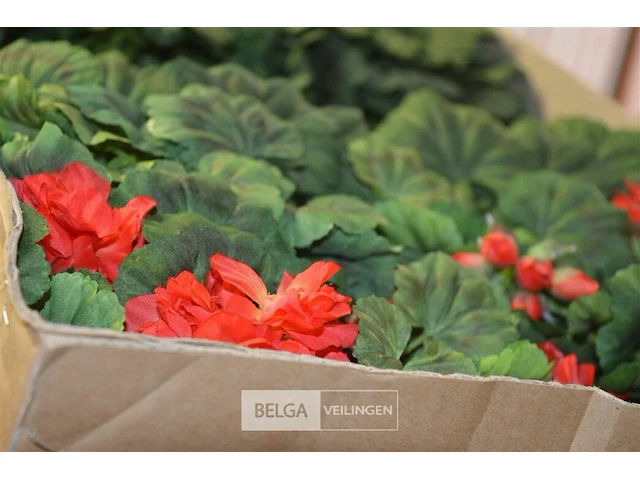 Inhoud pallet partij div plastic bloemen - afbeelding 4 van  4