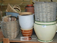 Inhoud rek div bloembakken - afbeelding 6 van  6