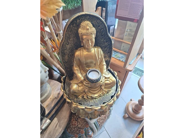 Inhoud winkel- energetische genezing - de witte lotus vijver - afbeelding 21 van  88