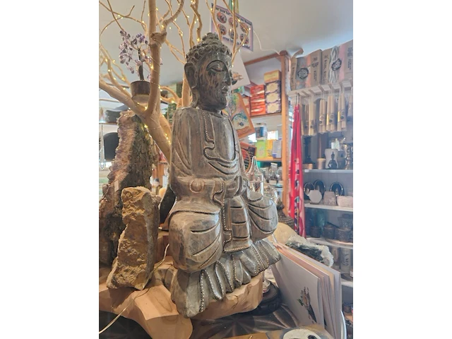 Inhoud winkel- energetische genezing - de witte lotus vijver - afbeelding 24 van  88