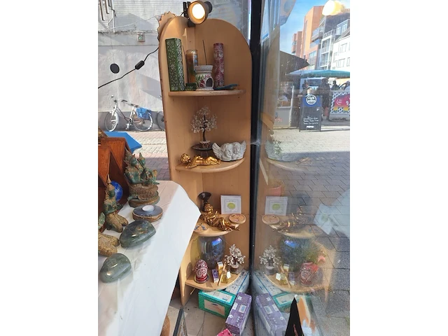 Inhoud winkel- energetische genezing - de witte lotus vijver - afbeelding 30 van  88