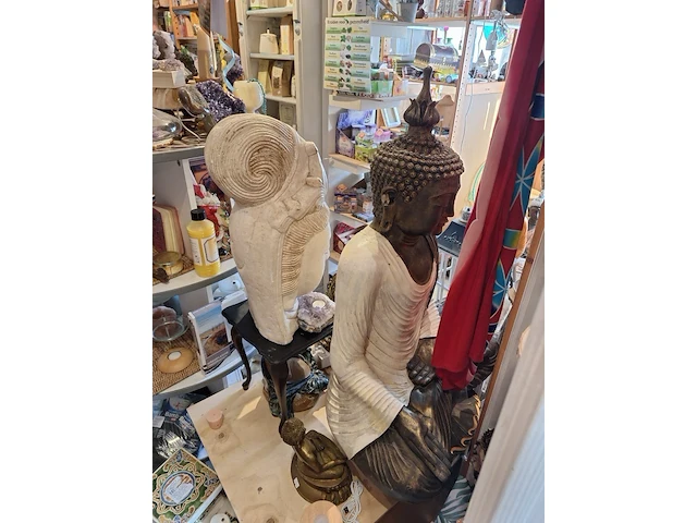 Inhoud winkel- energetische genezing - de witte lotus vijver - afbeelding 32 van  88