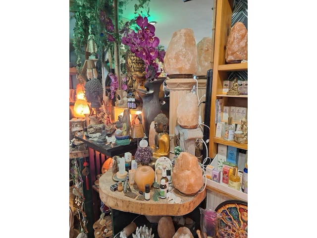 Inhoud winkel- energetische genezing - de witte lotus vijver - afbeelding 39 van  88