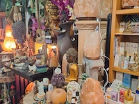 Inhoud winkel- energetische genezing - de witte lotus vijver - afbeelding 39 van  88