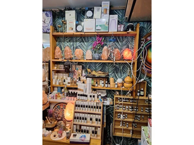 Inhoud winkel- energetische genezing - de witte lotus vijver - afbeelding 40 van  88