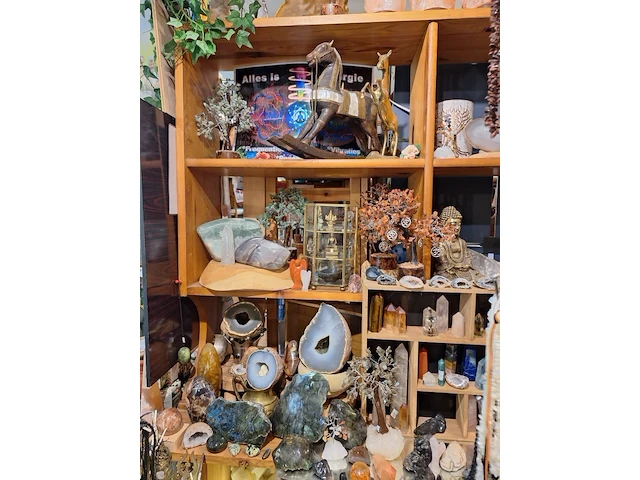 Inhoud winkel- energetische genezing - de witte lotus vijver - afbeelding 46 van  88