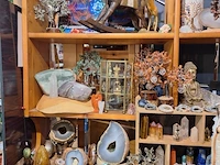 Inhoud winkel- energetische genezing - de witte lotus vijver - afbeelding 46 van  88