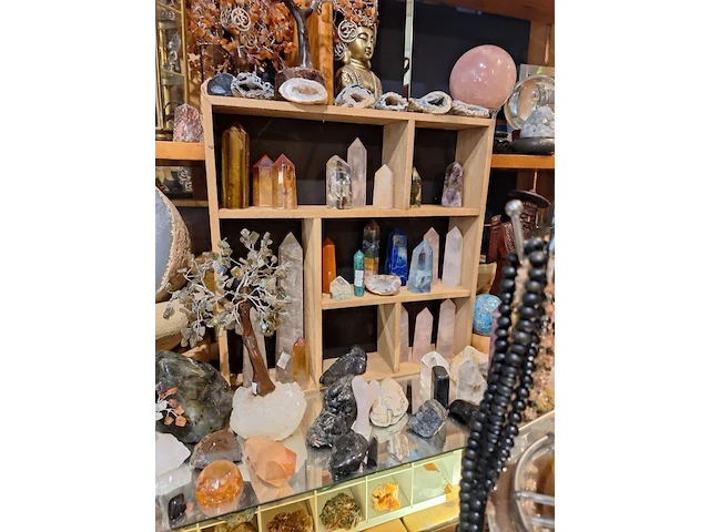 Inhoud winkel- energetische genezing - de witte lotus vijver - afbeelding 47 van  88