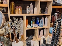 Inhoud winkel- energetische genezing - de witte lotus vijver - afbeelding 47 van  88