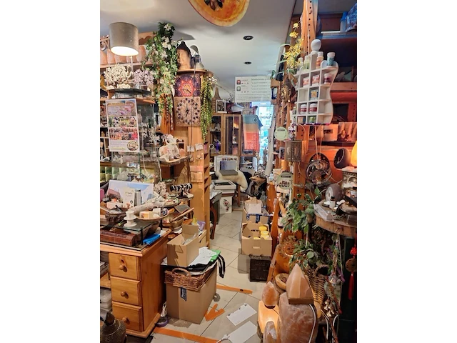 Inhoud winkel- energetische genezing - de witte lotus vijver - afbeelding 49 van  88