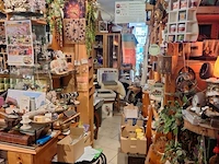 Inhoud winkel- energetische genezing - de witte lotus vijver - afbeelding 49 van  88