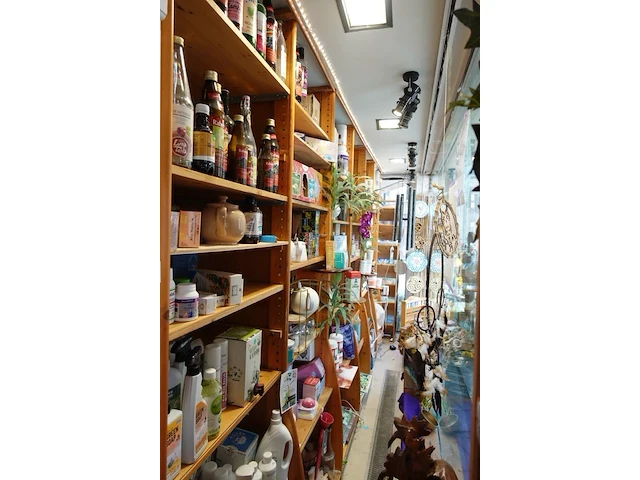 Inhoud winkel- energetische genezing - de witte lotus vijver - afbeelding 4 van  88