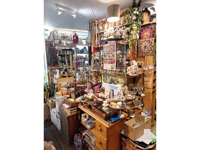 Inhoud winkel- energetische genezing - de witte lotus vijver - afbeelding 50 van  88