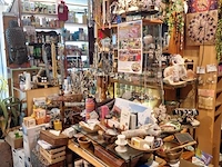 Inhoud winkel- energetische genezing - de witte lotus vijver - afbeelding 50 van  88