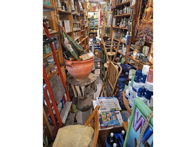 Inhoud winkel- energetische genezing - de witte lotus vijver - afbeelding 52 van  88