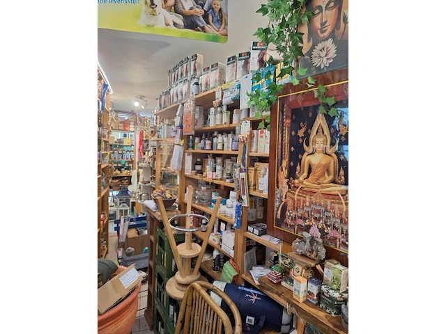 Inhoud winkel- energetische genezing - de witte lotus vijver - afbeelding 53 van  88