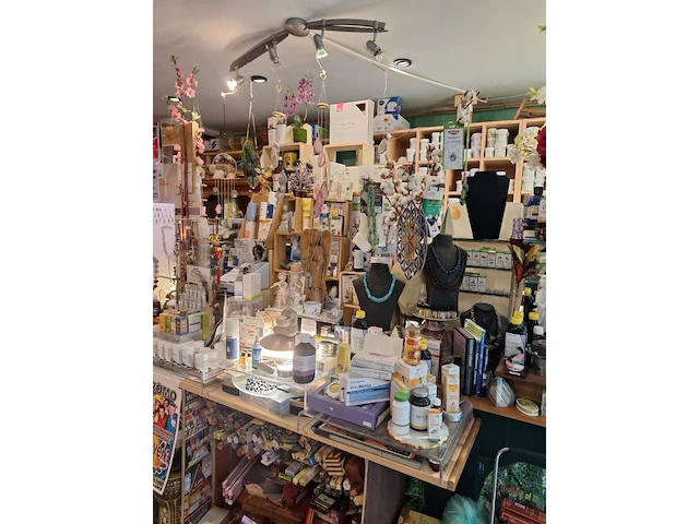 Inhoud winkel- energetische genezing - de witte lotus vijver - afbeelding 54 van  88