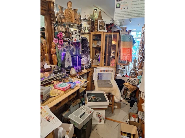 Inhoud winkel- energetische genezing - de witte lotus vijver - afbeelding 55 van  88