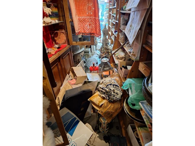 Inhoud winkel- energetische genezing - de witte lotus vijver - afbeelding 56 van  88