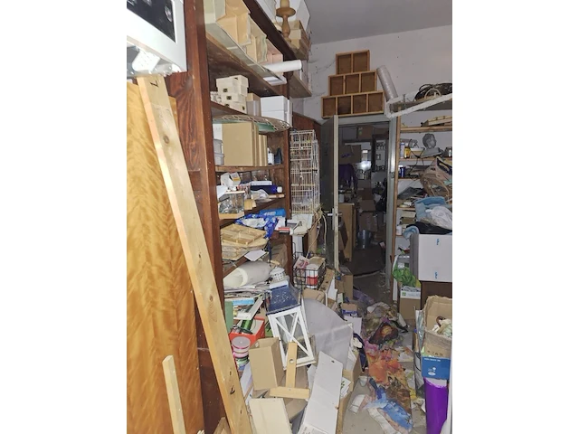 Inhoud winkel- energetische genezing - de witte lotus vijver - afbeelding 59 van  88