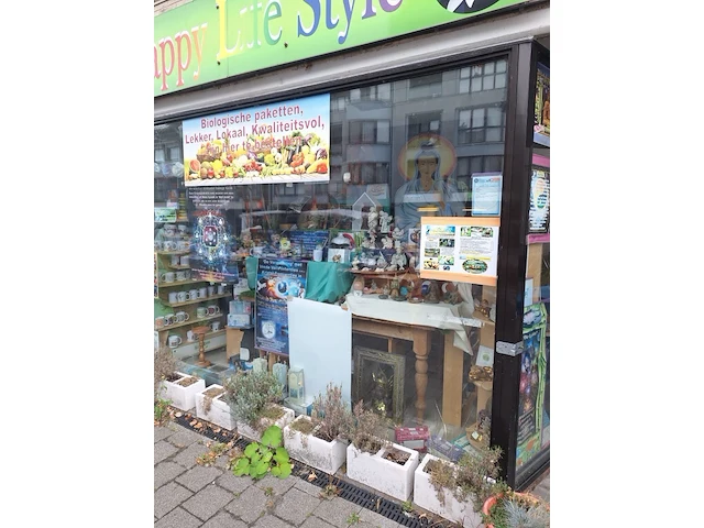 Inhoud winkel- energetische genezing - de witte lotus vijver - afbeelding 63 van  88