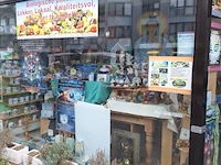 Inhoud winkel- energetische genezing - de witte lotus vijver - afbeelding 63 van  88