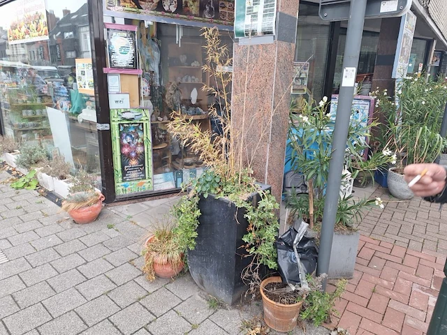 Inhoud winkel- energetische genezing - de witte lotus vijver - afbeelding 64 van  88