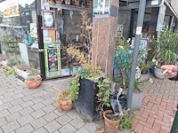 Inhoud winkel- energetische genezing - de witte lotus vijver - afbeelding 64 van  88