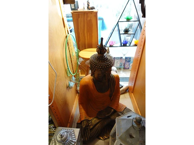 Inhoud winkel- energetische genezing - de witte lotus vijver - afbeelding 6 van  88