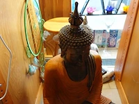 Inhoud winkel- energetische genezing - de witte lotus vijver - afbeelding 6 van  88