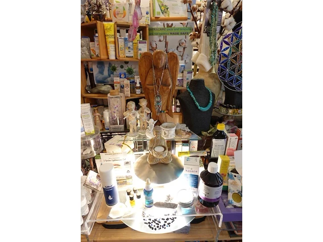 Inhoud winkel- energetische genezing - de witte lotus vijver - afbeelding 85 van  88