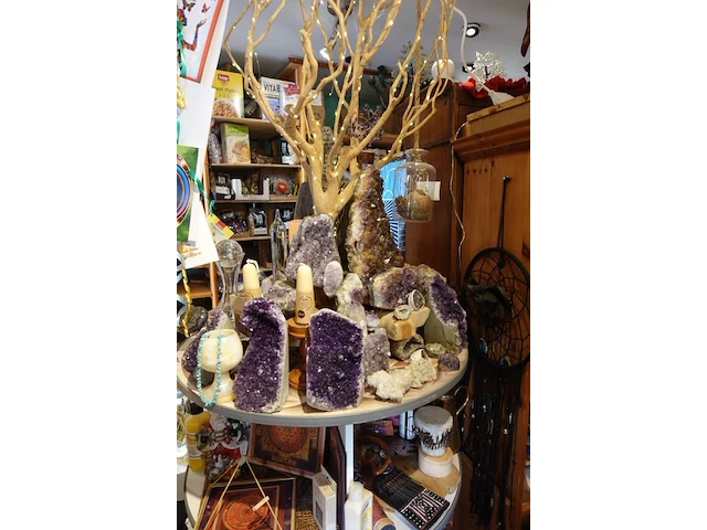 Inhoud winkel- energetische genezing - de witte lotus vijver - afbeelding 8 van  88