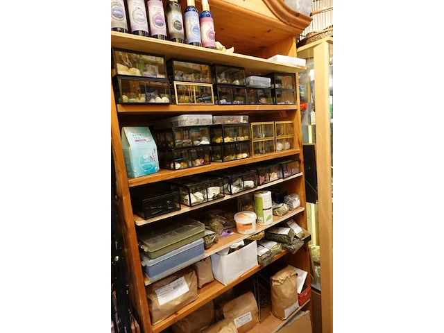 Inhoud winkel- energetische genezing - de witte lotus vijver - afbeelding 9 van  88