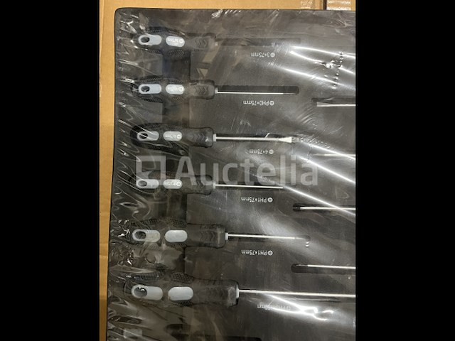Inleg tray met schroevendraaiers - afbeelding 1 van  5