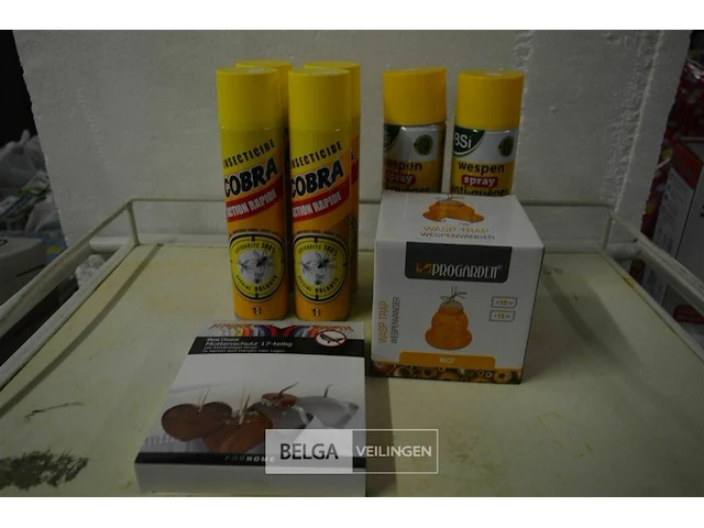 Insekten pakket - afbeelding 1 van  5