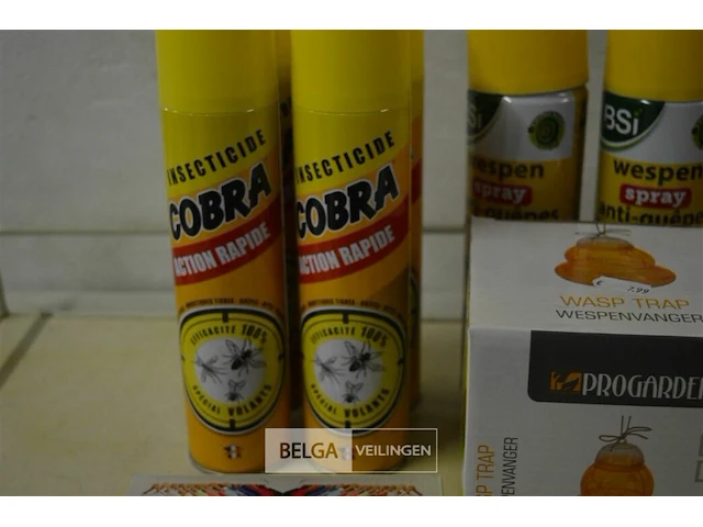 Insekten pakket - afbeelding 3 van  5