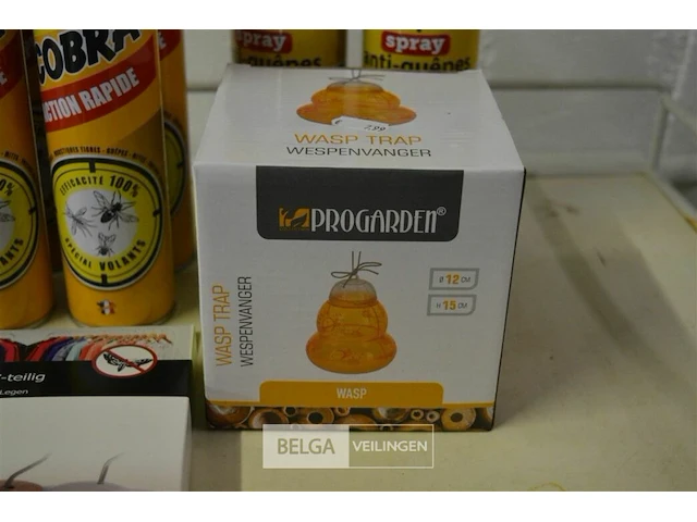 Insekten pakket - afbeelding 4 van  5