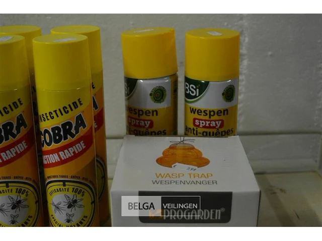 Insekten pakket - afbeelding 5 van  5