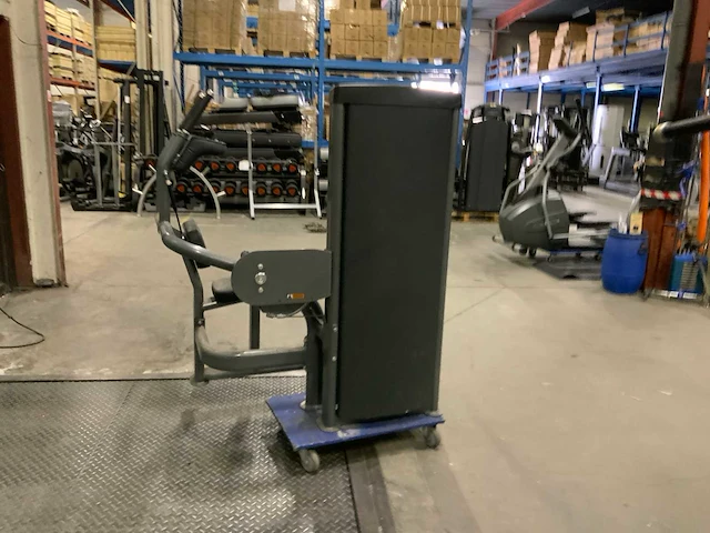 Insight commercial abdominal krachtstation - afbeelding 5 van  6