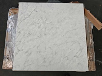 Iris marmi veined white silky vloertegel 75x75 cm 18,48 m² - afbeelding 2 van  7